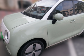 欧拉黑猫 2021款 301km 基础型