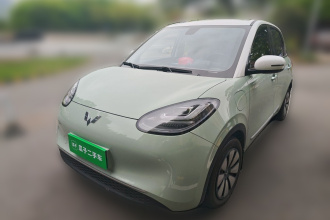 五菱汽车 五菱缤果 2023款 410km 灵犀尊享款