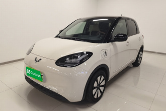 五菱汽车 五菱缤果 2024款 333km 悦享款