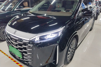 比亚迪 夏 2025款 DM-i 1.5T 100km 领先型