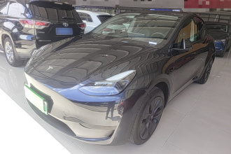 特斯拉 Model Y 2024款 后轮驱动版