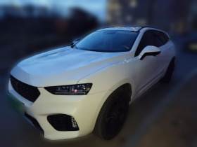 魏牌 VV7 2019款 升级款 2.0T 旗舰型 国V