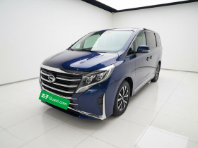 广汽传祺 传祺M8 2021款 领秀系列 390T 豪华版