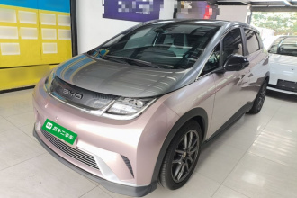 比亚迪 海豚 2021款 401km 骑士版