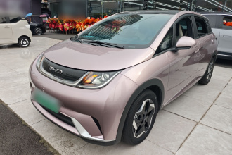 比亚迪 海豚 2021款 405km 时尚版