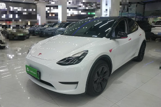 特斯拉 Model Y 2024款 后轮驱动版