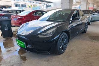特斯拉 Model 3 2020款 标准续航后驱升级版