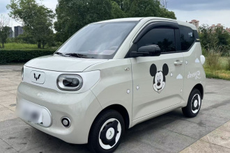 五菱汽车 宏光MINIEV 2024款 第三代 215km 青春版