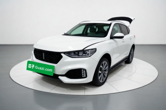 魏牌 VV6 2018款 2.0T 两驱超豪型 国V