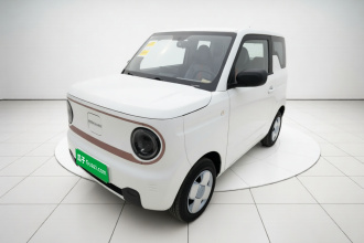 吉利银河 2024款 熊猫mini 200km 耐力熊