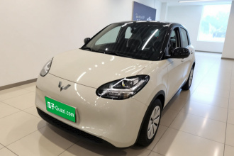 五菱汽车 五菱缤果 2023款 203km 轻享款