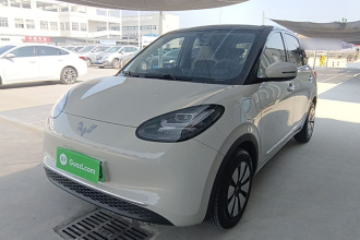五菱汽车 五菱缤果 2024款 333km 悦享款