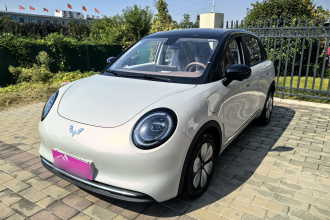 五菱汽车 缤果Pro 2026款 330km 尊享款