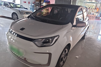 思皓 2022款 花仙子款 四叶草