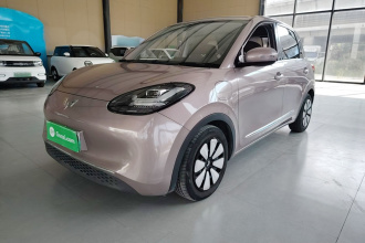 五菱汽车 五菱缤果 2023款 333km 灵犀互联款
