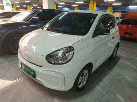 荣威 科莱威CLEVER 2021款 302km新四座超能版