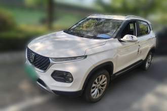 宝骏510 2019款 1.5L 手动乐享型 国V