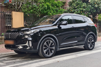 魏牌 VV6 2021款 2.0T 两驱智护+