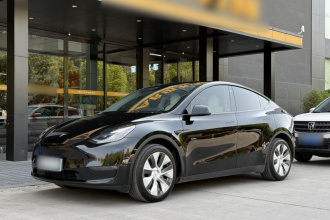 特斯拉 Model Y 2021款 长续航全轮驱动版