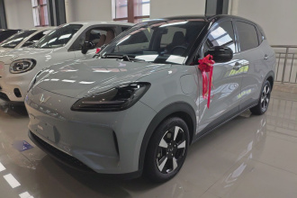 五菱汽车 五菱缤果PLUS 2024款 330km 五座版