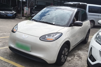 五菱汽车 五菱缤果 2024款 333km 悦享款
