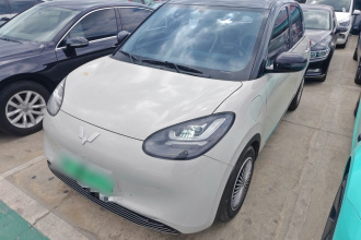 五菱汽车 五菱缤果 2024款 333km 悦享款