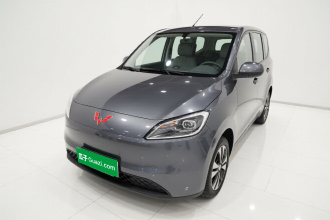 五菱汽车 五菱宏光新能源 2024款 纯电版 300KM 实用型