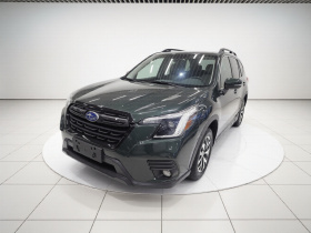 斯巴鲁 森林人 2022款 2.0i AWD豪华版EyeSight