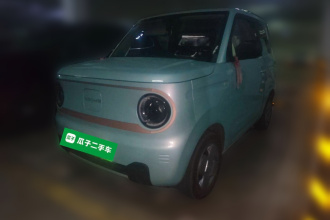 吉利银河 2024款 熊猫mini 200km 耐力熊