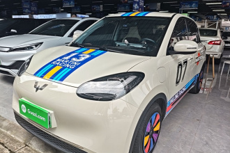 五菱汽车 五菱缤果 2024款 333km 悦享款