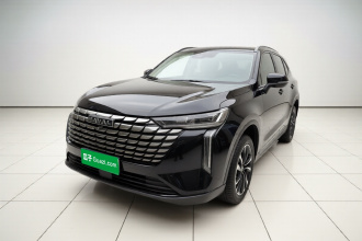哈弗H6 2024款 1.5T 两驱Max