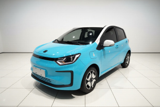 思皓 花仙子 2021款 302km 豪华型 31.4kWh