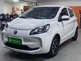 长安 奔奔E-Star 2021款 国民版 多彩款 磷酸铁锂（31.95kWh）