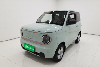 吉利银河 2024款 熊猫mini 200km 耐力熊