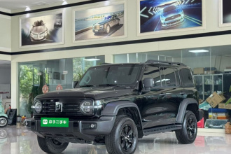 坦克300 2025款 2.4T 柴油版