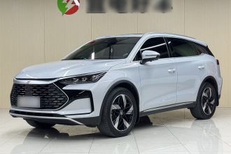 比亚迪 唐新能源 2024款 DM-i 荣耀版 112KM 尊贵型