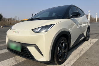 比亚迪 海鸥 2023款 飞翔版