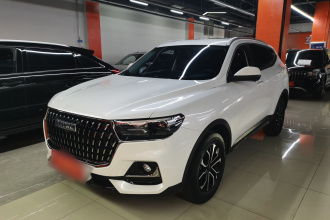 哈弗H6 2023款 国潮版 1.5T 自动都市版