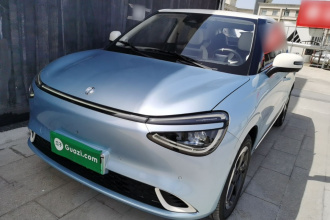 东风纳米 纳米01 2024款 430 Max智+