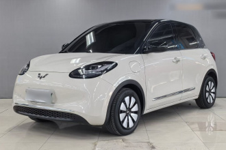 五菱汽车 五菱缤果 2024款 333km 悦享款