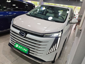 广汽传祺 传祺E9 2023款 E9 MAX