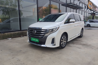 广汽传祺 传祺M8 2020款 领航款 390T 旗舰版