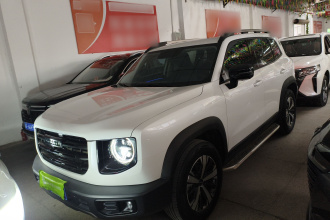 哈弗大狗 2022款 1.5T DCT两驱拉布拉多版