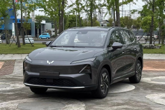 五菱汽车 五菱星光S 2024款 510km 旗舰型