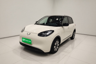 五菱汽车 五菱缤果 2023款 333km 悦享+款