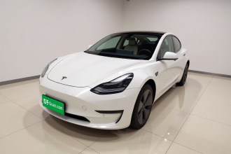 特斯拉 Model 3 2020款 改款 长续航后轮驱动版