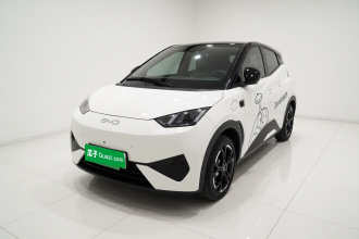 比亚迪 海鸥 2025款 智驾版 305km 自由版