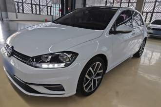 大众 高尔夫 2019款 280TSI DSG豪华型 国V