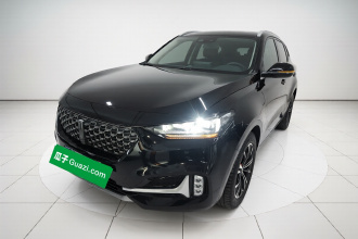 魏牌 VV6 2020款 2.0T 两驱Collie智行+