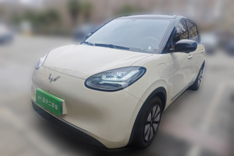 五菱汽车 五菱缤果 2025款 333km 灵犀尊享款